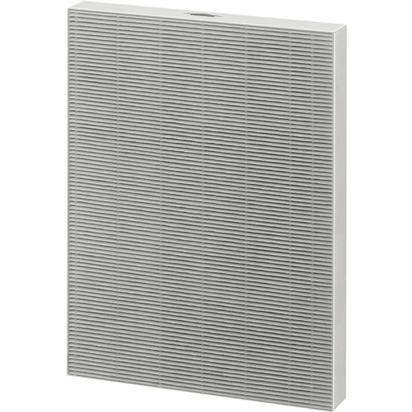 Filter True Hepa voor Aeramax DX95