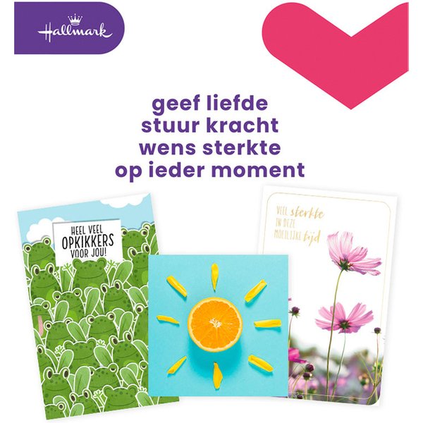 Wenskaart Hallmark Business Box beterschap navulset à 12 stuks