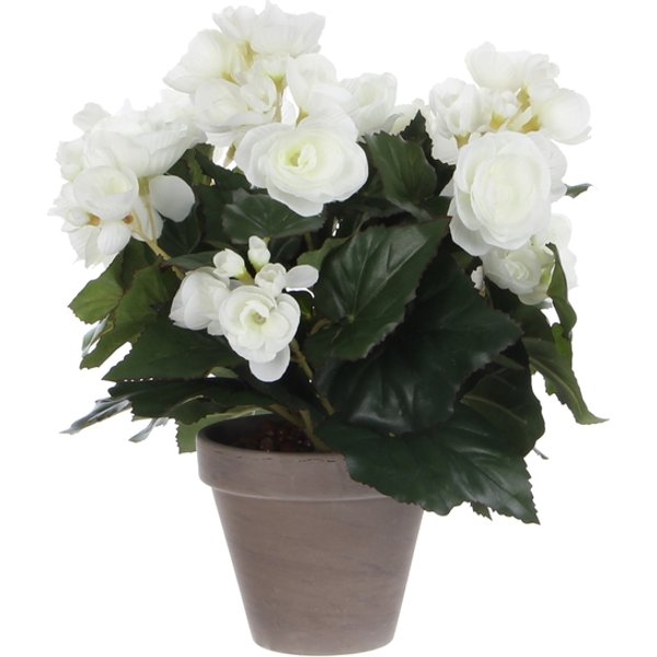 Kunstplant Mica Begonia wit in pot Stan grijs Ø25 30cm
