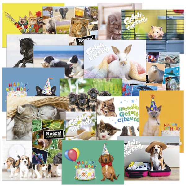 Beloningsposter-kaart De Stulp thema dieren A4 assorti