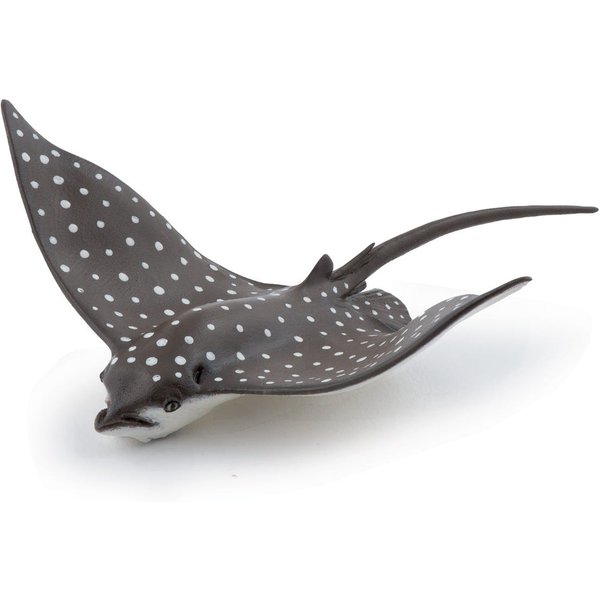PAPO Spotted Eagle Ray