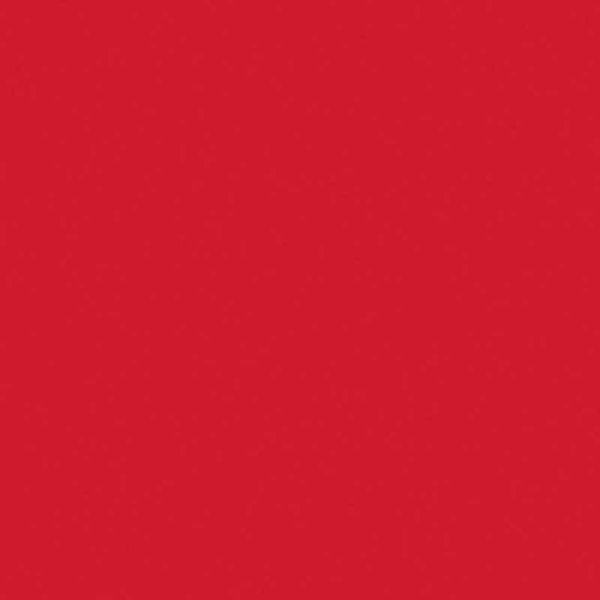 Folia Fotokarton A4 300G/M² 50 Blatt Hochrot-image