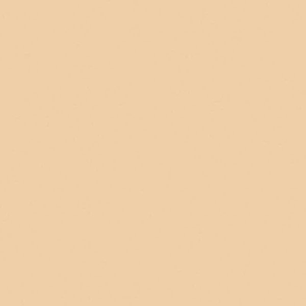 Folia Fotokarton A4 300G/M² 50 Blatt Chamois-image