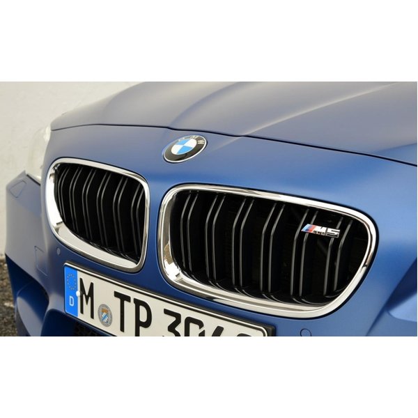 orig. BMW M Performance 5er F10 M5 Frontziergitter Ziergitter Satz Rechts + Links mit Nightvision
