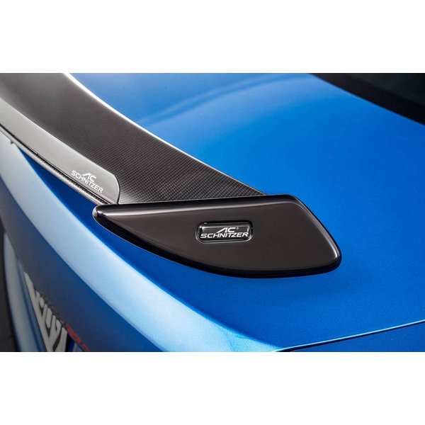 AC Schnitzer Gurney Flap für Racing Carbon Heckflügel für BMW M2 F87