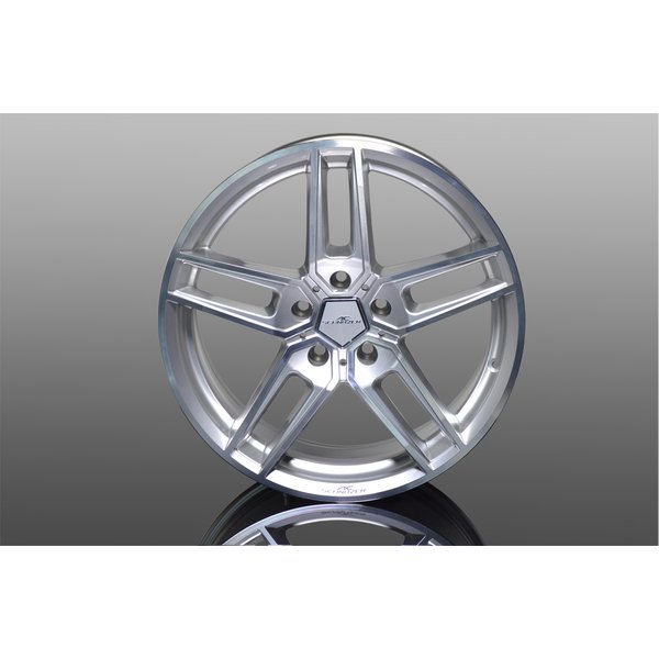 AC Schnitzer Felge 10,0 x 20" Typ VIII "BiColor silber" ET 50 M5-F10