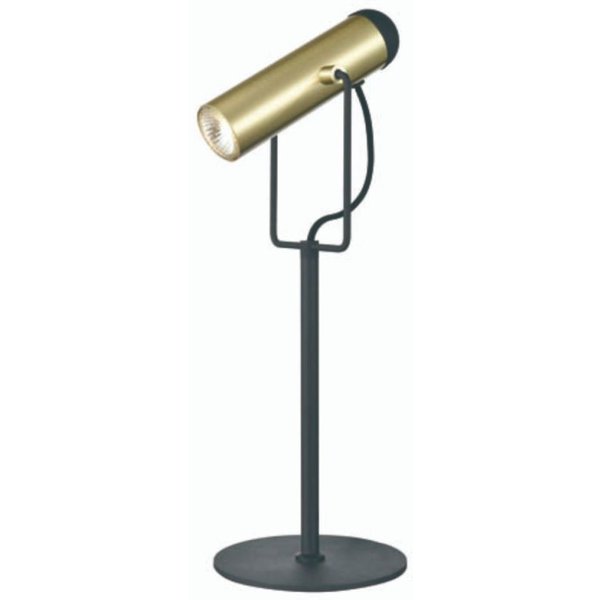 Franklite Spot Desk Lamp In Black And Satin Gold Finish TL607
