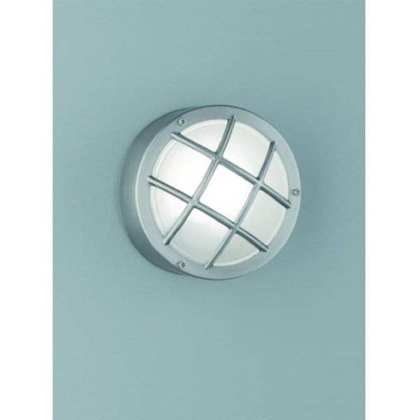 Franklite EXT6620 Flush Light With Satin Glass In Stainless Steel And Cage Style Front