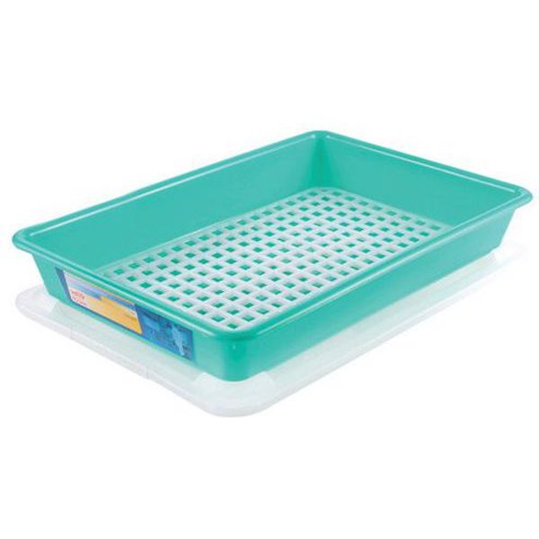 Contenitore Piatto 8 L Haccp Con Coperchio E Griglia - Verde,-image