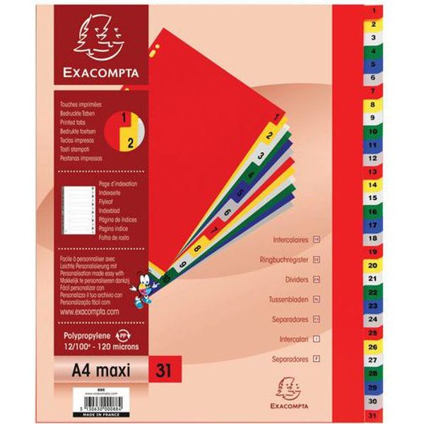 Lotto di 20 Intercalari Stampati Pp A Colori 12/100 31 Posizioni A4+-image