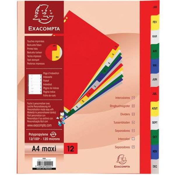 Lotto di 20 Intercalari Mensili Pp A Colori 12/100 12 Posizioni A4+-image