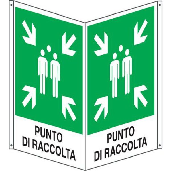 Bifacciale Emergenza Verticale Punto Di Raccolta500X630,-image