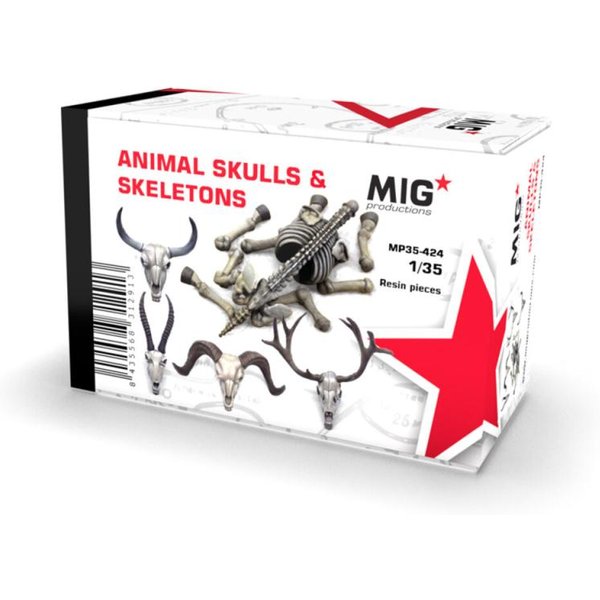 ANIMAL SKULLS & SKELETONS