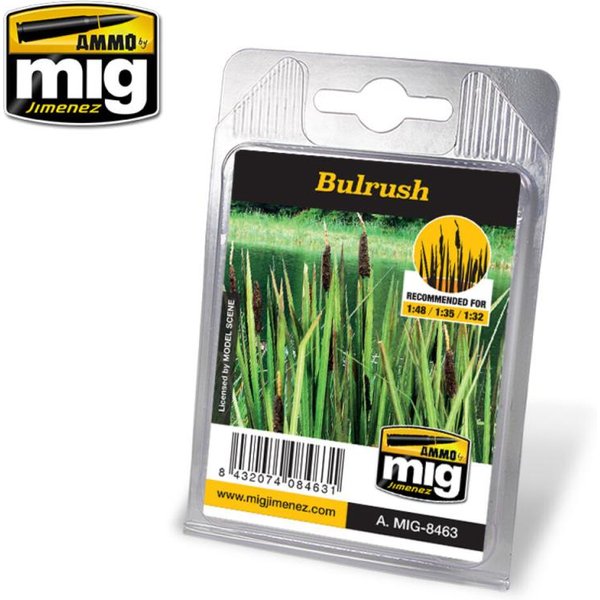 Bulrush