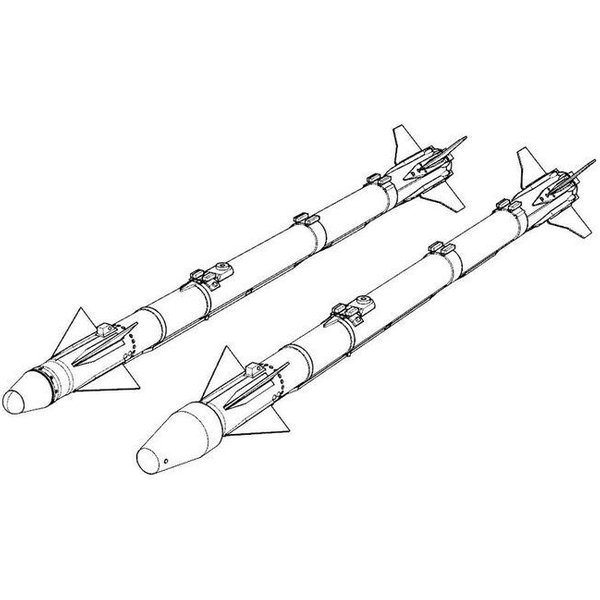 AIM-9X Sidewinder (2pcs)