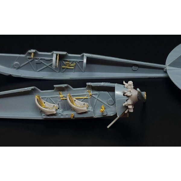 Caproni Ca.100