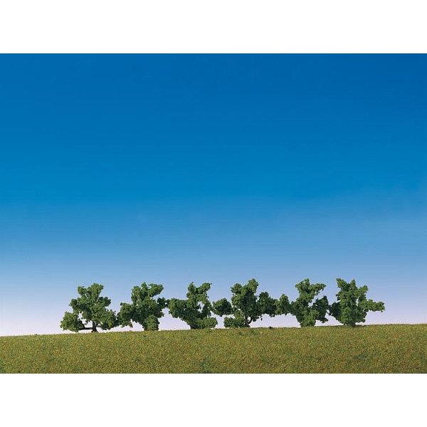6 Büsche, grün
