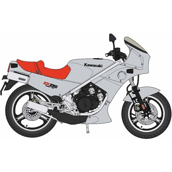 Kawasaki KR250, Silver Color