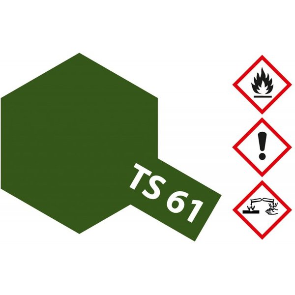 TS-61 Nato-Grün