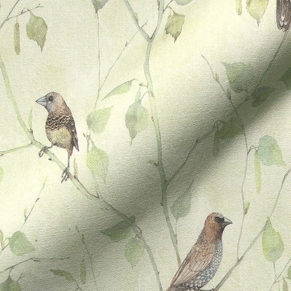 Toile Semi Panama Imprimé Digital Vert PâLe Branchages Oiseaux - Mondial Tissus-image