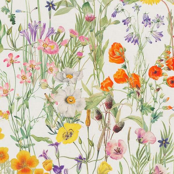 Toile Semi Panama ImpriméE Blanche Fleurs ChampêTre - Mondial Tissus-image