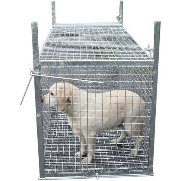 Trappe De Capture Pour Chien Ou Animaux Errant-image