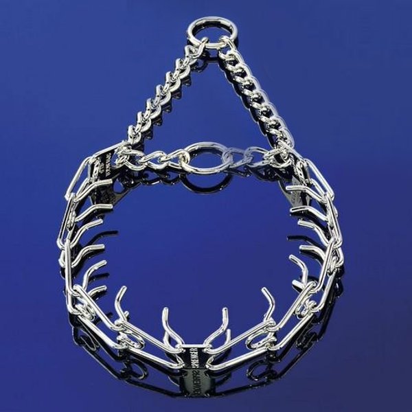 Collier Torquatus Pour Chien Chromé - Qualité Pro Hs-image