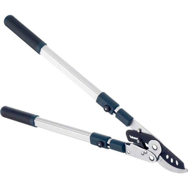 Bulldog BD3113TW Evergreen Extending Bypass Loppers BD3113TW