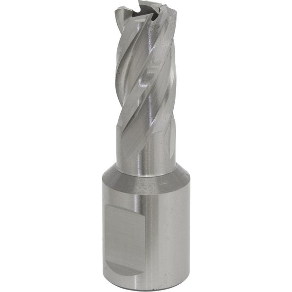 Sealey Rotabor Weldon Shank HSS Mag Drill Cutter