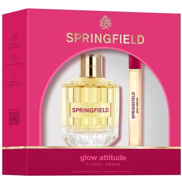 Springfield Glow Attitude Estuche | Precio, Estuche
