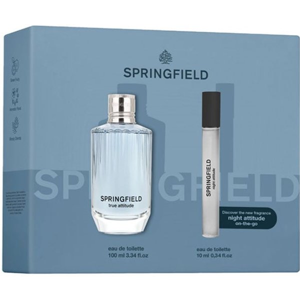 Springfield True Attitude Estuche | Precio, Comprar