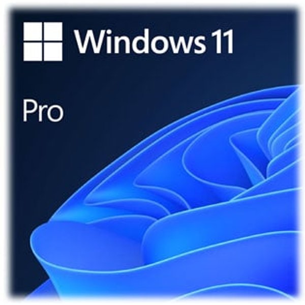 Windows 11 Pro 64-Bit on USB Drive - English