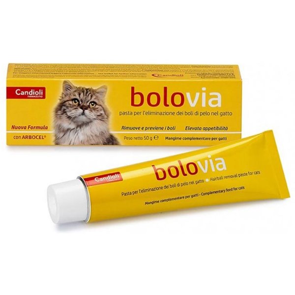 Candioli Bolo Via Pasta Gatti, 50G-image