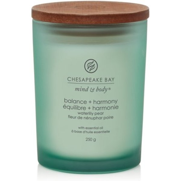 Yankee Candle Balance & Harmony - Candela Profumata Ninfea E Pera Media, 250G-image
