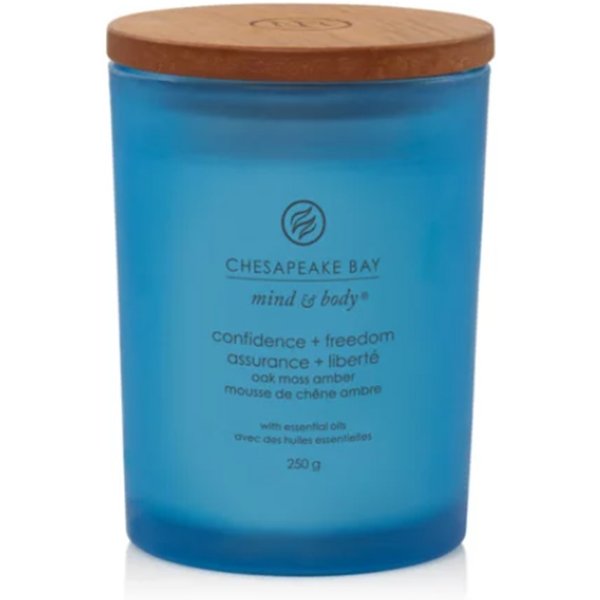 Yankee Candle Confidence & Freedom - Candela Cedro Muschio E Ambra Media, 250G-image