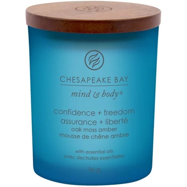 Yankee Candle Confidence & Freedom - Candela Cedro Muschio E Ambra Piccola, 96G-image
