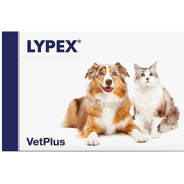 Vetplus Lypex - Mangime Complementare Per La Digestione Di Cani E Gatti, Capsule Lypex 60-image