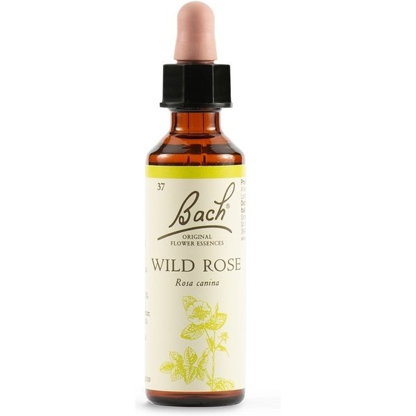 Schwabe Pharma Wild Rose - Fiore Di Bach Tonificante Contro L'apatia, 20 Ml-image