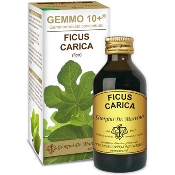 Dr.Giorgini Ser-Vis Fico Liquido Analcoolico Gemmo 10+ 100 Ml-image