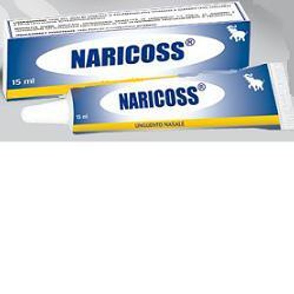 Medicoss Sas Di A. Cossalter Naricoss Unguento Nasale 15 G-image