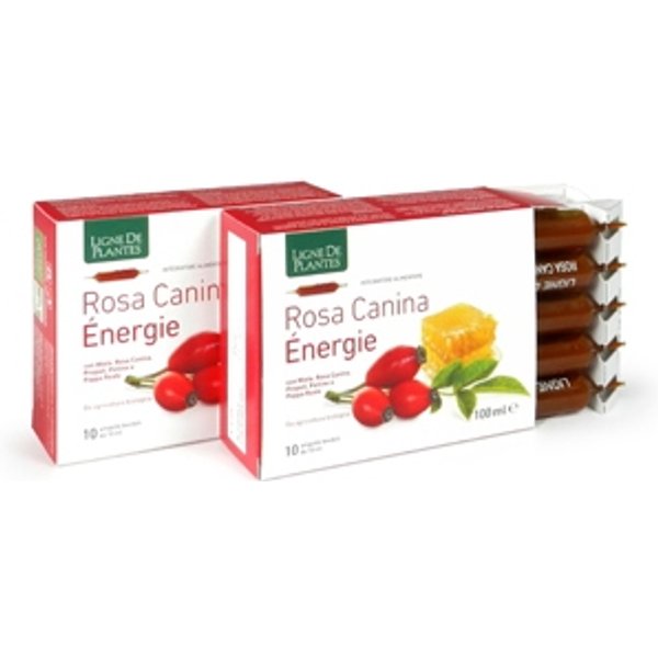 Natura Service Rosa Canina Energie Biologico 10 Ampolle Bevibili Da 10 Ml-image
