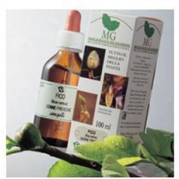 Sangalli Noce Macerato Glicerico 100 Ml-image