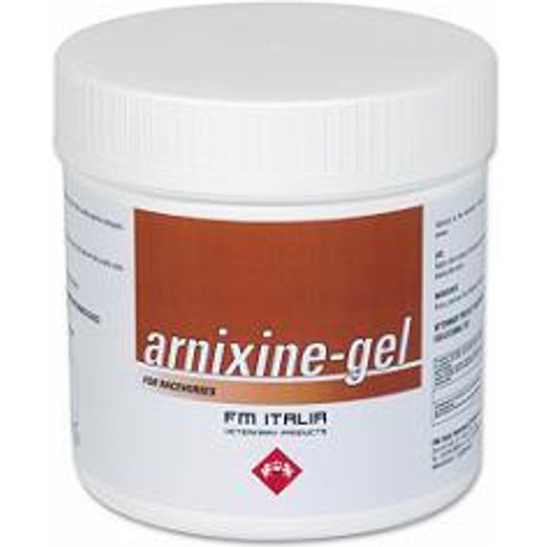 FM Italia Group Arnixine Gel 750Ml-image