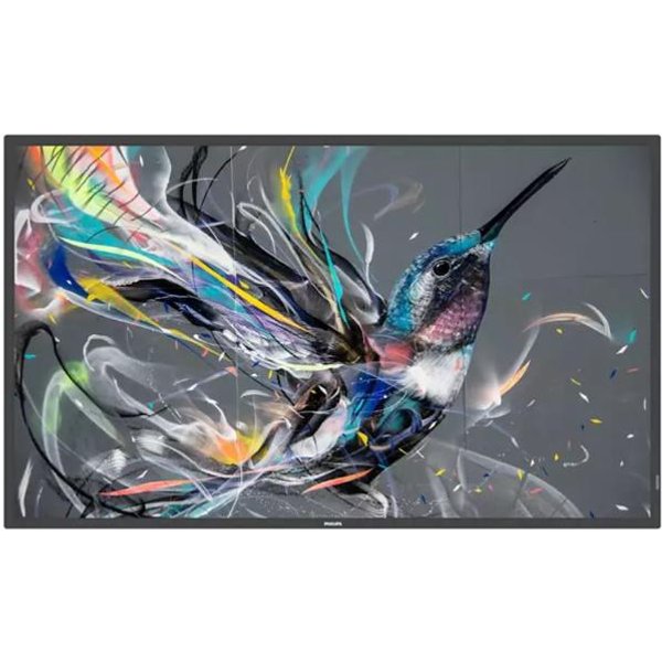 Philips 65 Q-Line 18/7, 4K UHD 65BDL3511Q/00.-image