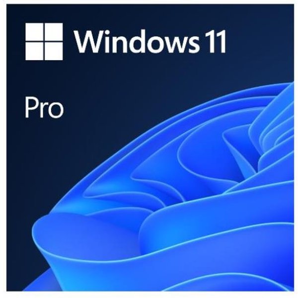 Microsoft Windows 11 Pro Esd All Lang FQC-10572-image