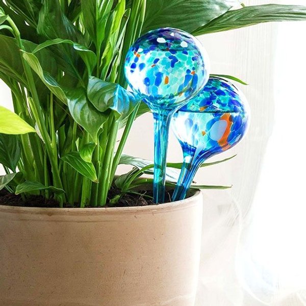 Automatische Bewässerungsballons im 2er Set