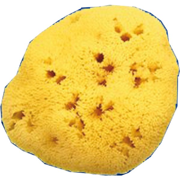 Farmacare Spugna Naturale Fori Larghi N.7-image