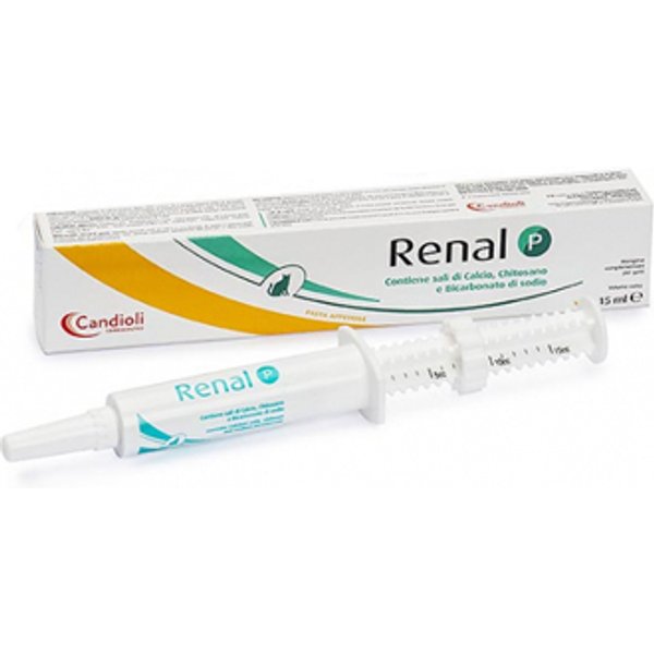Renal P Pasta Siringa Dosatrice 15 Ml-image