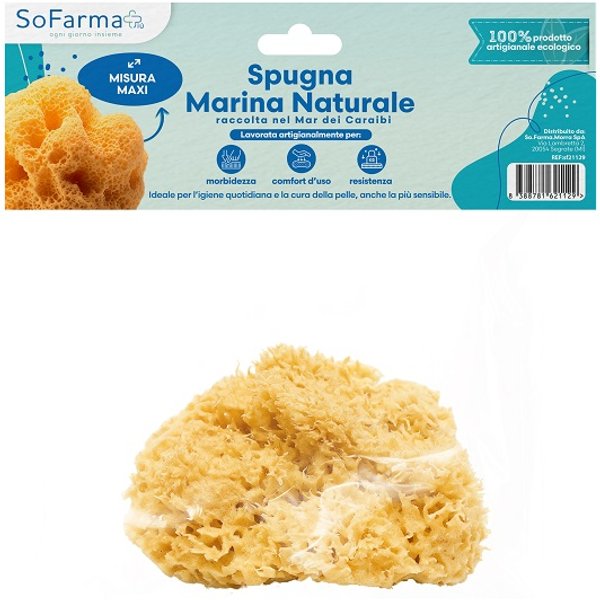 Spugna Marina Naturale Maxi Sofarmapiu'-image