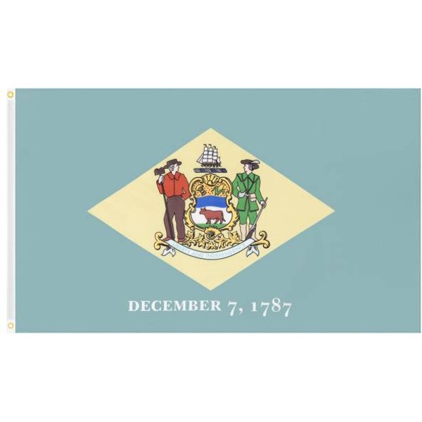 Delaware Muwo "America Edition" Bandiera 90X150Cm-image
